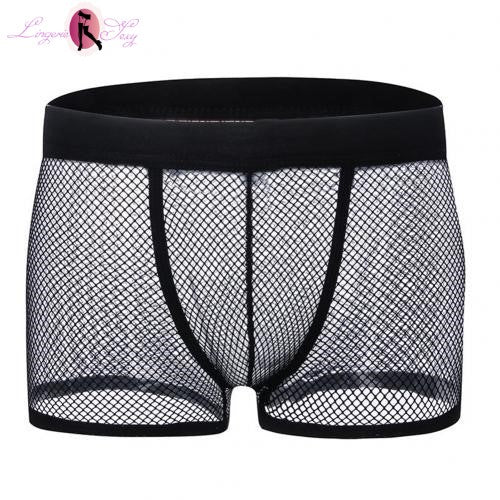 boxer libidineux emaille